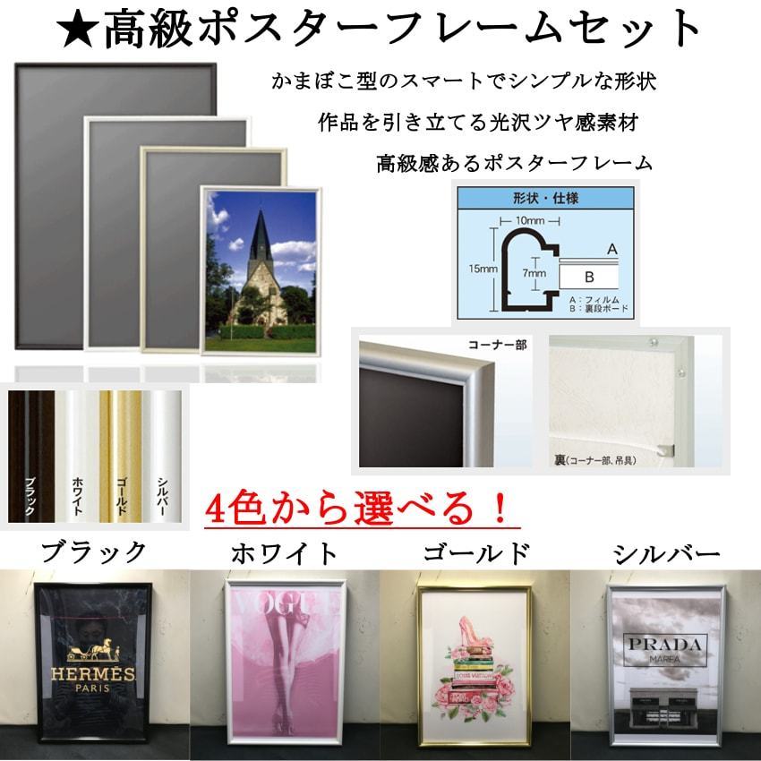 ポスター アートポスターフレームセット A4size~A3size選択可能 #222(2)