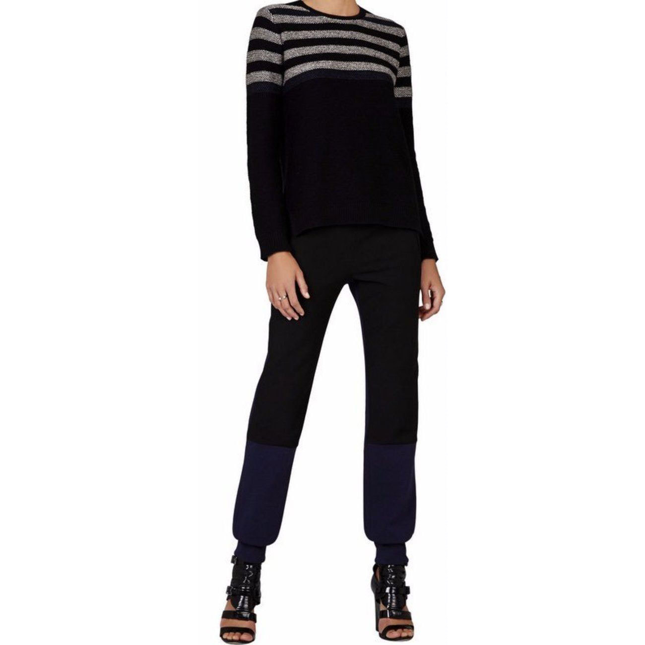 BCBG Wandaストライプスリーブカラーブロックプルオーバー BCBG Wandaストライプスリーブカラーブロックプルオーバー