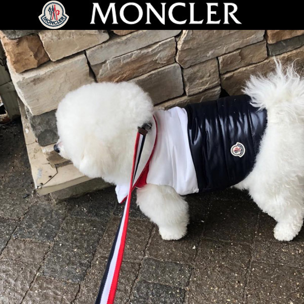 MONCLER 愛犬とのお散歩を楽しく優雅に♪リード ダークブルー
