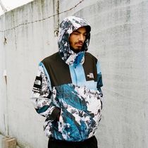 Supreme The North Face Mountain Parka シュプリーム 雪山