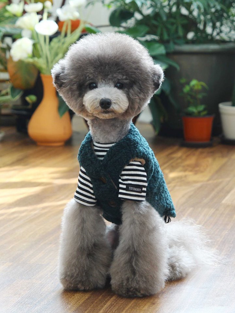 正規品販売!
★犬服 韓国★冬アウター★Cozy Vest Green ペット(犬猫)服 正規品販売!
★犬服 韓国★冬アウター★Cozy Vest Green ペット(犬猫)服