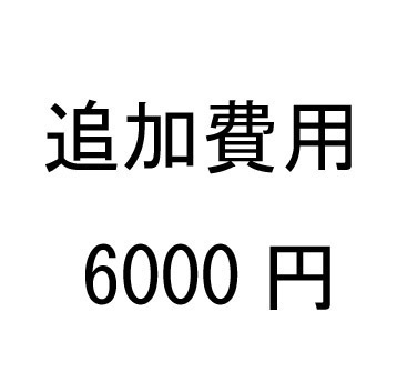 追加費用 6000円