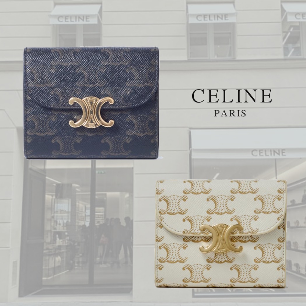 Shop CELINE Triomphe Canvas 2020-21FW Business Card Holder In