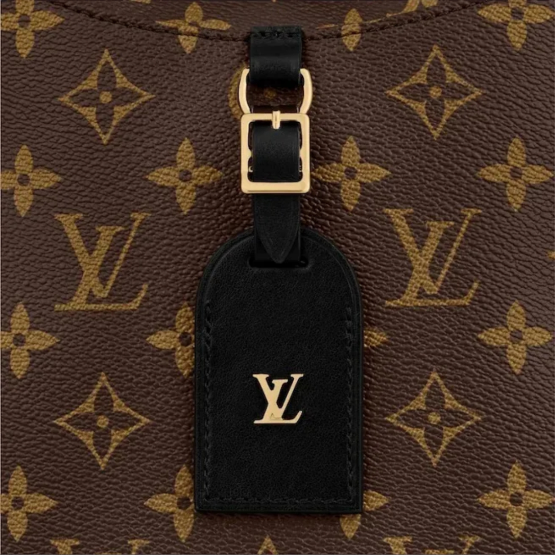 20FW直営買付 LouisVuitton 新作 オデオン NM PM モノグラム/2色