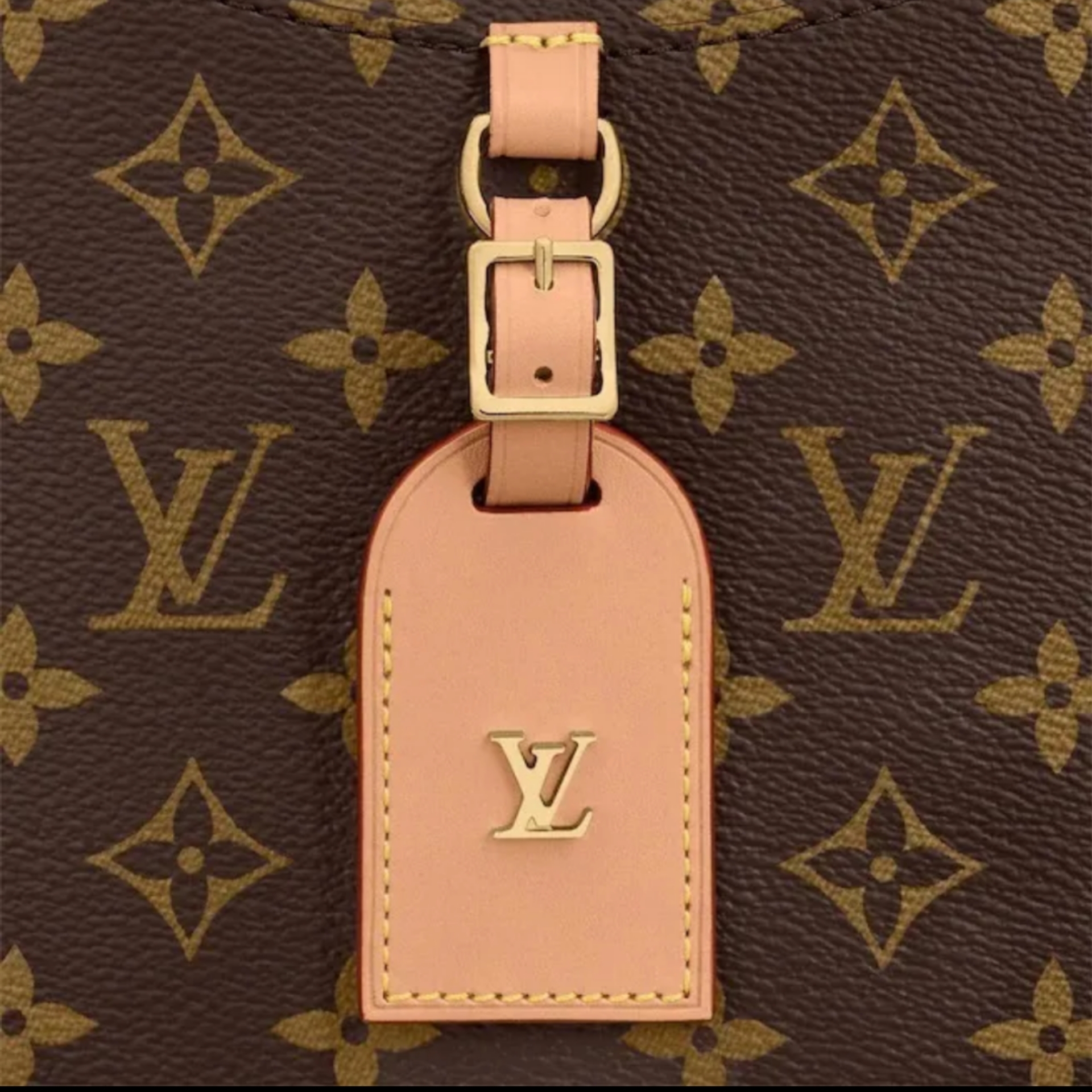 20FW直営買付 LouisVuitton 新作 オデオン NM PM モノグラム/2色 ...