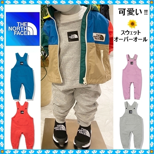 Nito 日東工業 屋外用制御盤キャビネット OR20−812−1 1個入り OR20-812-1 146-6044 AYSjcpeLlm, DIY、工具 Nito 日東工業 屋外用制御盤キャビネット OR20−812−1 1個入り OR20-812-1 146-6044 AYSjcpeLlm, DIY、工具