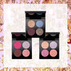PAT McGRATH LABS☆ホリデー限定☆4色アイシャドウパレット