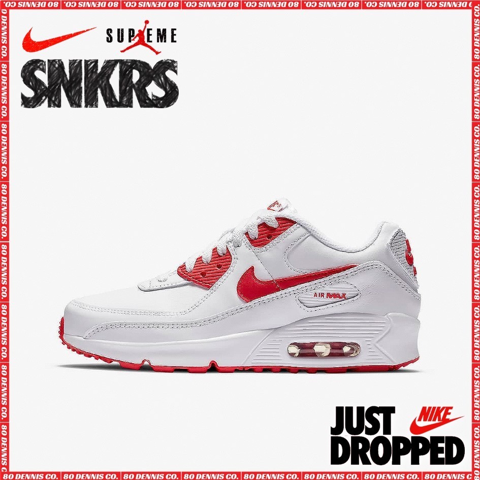 【NIKE】AIR MAX 90 LTR OLDER