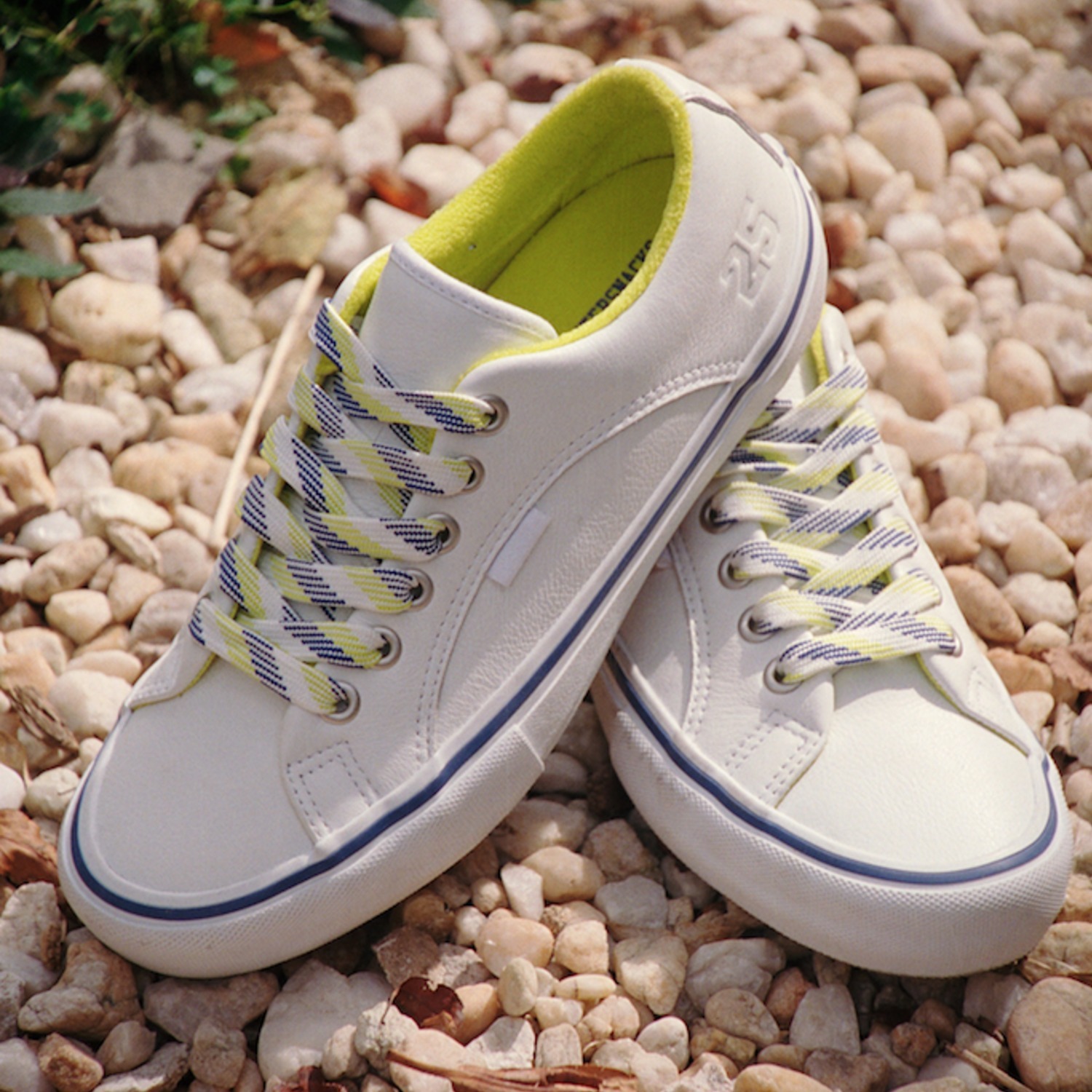★VANS x Quartersnacks★ランピン.PRO.LTD★ホワイト★