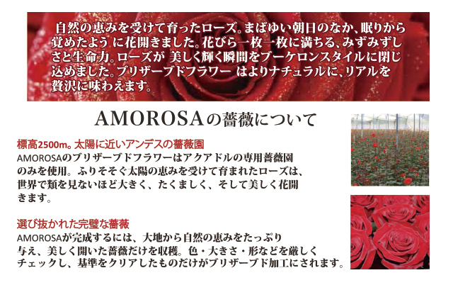 即日発送 ナンバー ネックレス ダイヤモンド ローズ BOX 数字 即日発送 ナンバー ネックレス ダイヤモンド ローズ BOX 数字