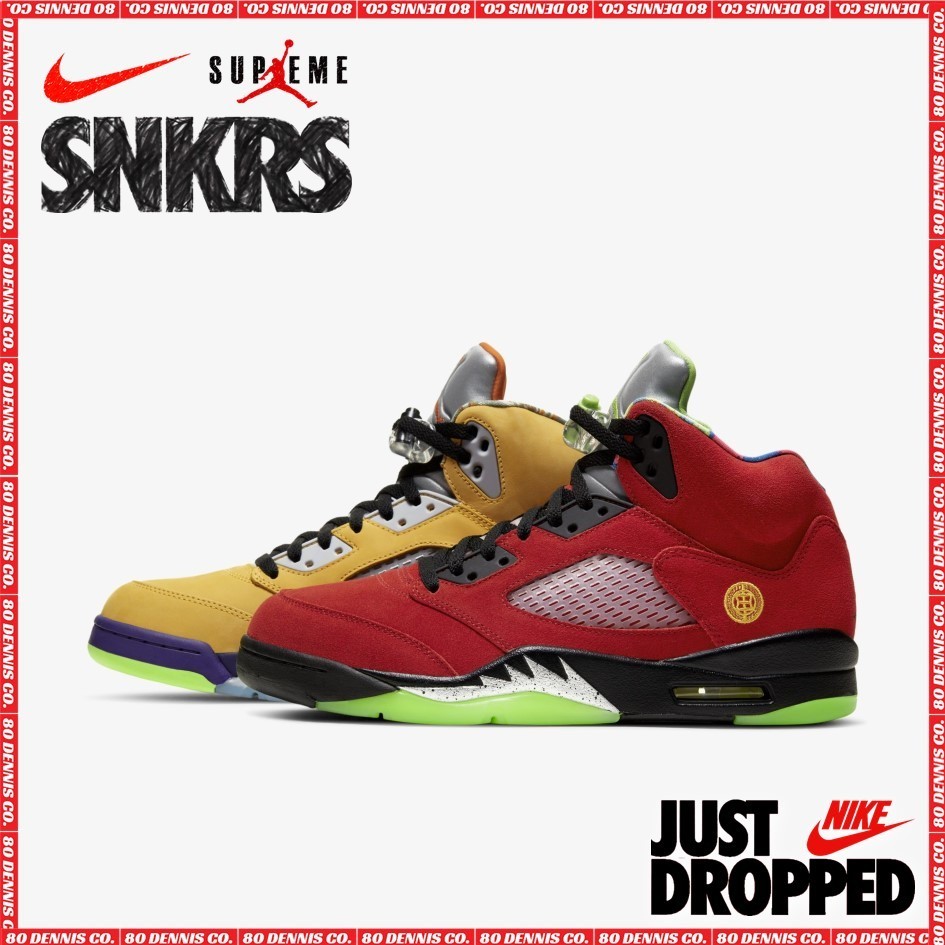 【NIKE】Air Jordan 5 Retro Se