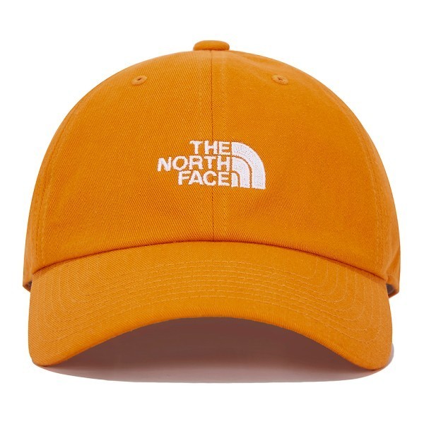 THE NORTH FACE キャップ ★2021SS★THENORTHFACE★NE3CM02_TNF LOGO SOFT CAP_3色(15)