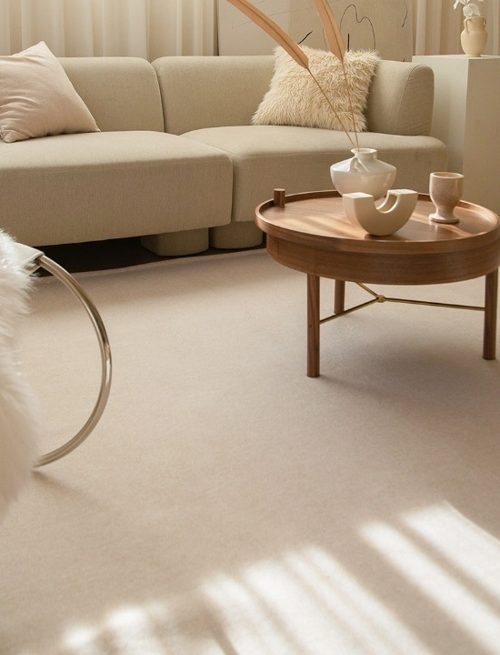 DECO VIEW ラグ・カーペット DECO VIEW(デコヴュー)★Easy Care Water Repellent Rug-150X100(3)