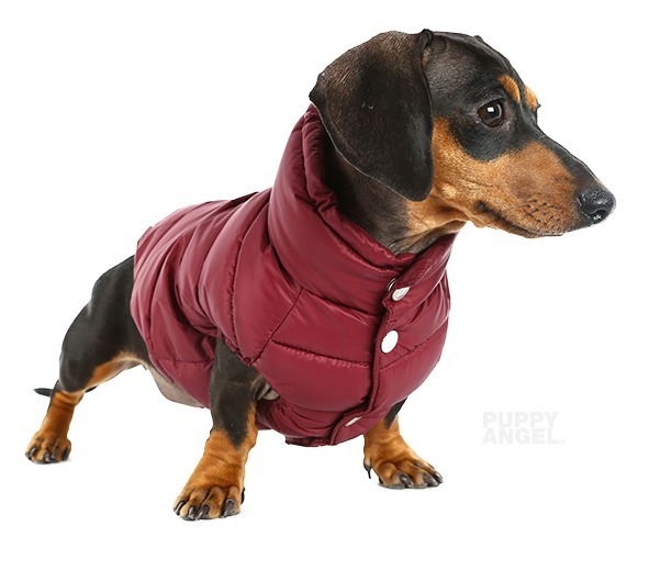 ★韓国人気★【PUPPY ANGEL】★Love Faux DownPaddin.g★ ☆韓国人気☆PUPPY ANGEL☆Love Faux DownPaddin.g☆人気 (PUPPY