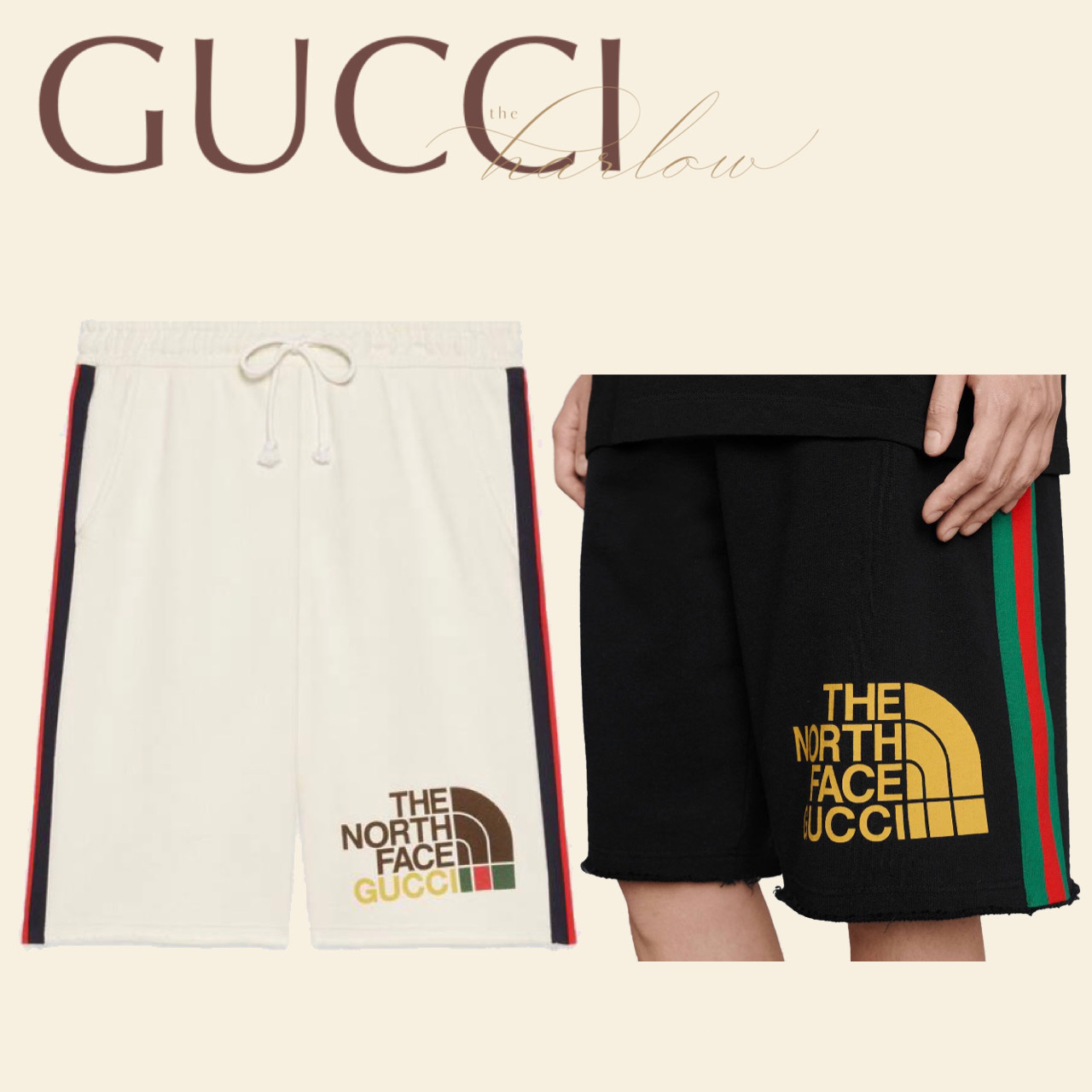 North Face Gucci ノースフェイス グッチ ショーツ ハーフパンツ