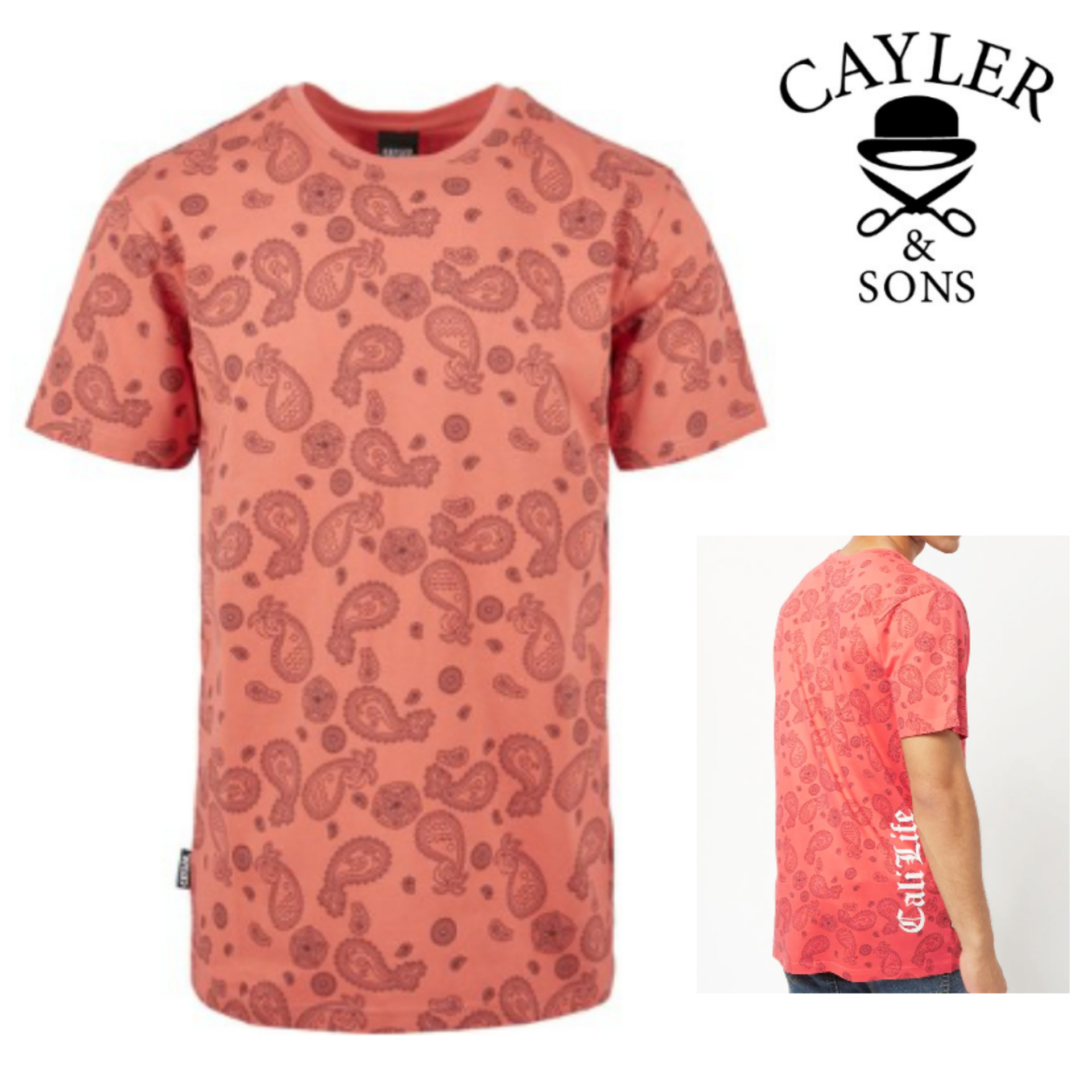 SALE★Cali Paiz T Shirt【送込Cayler&Sons】ロゴ★ペイズリー柄