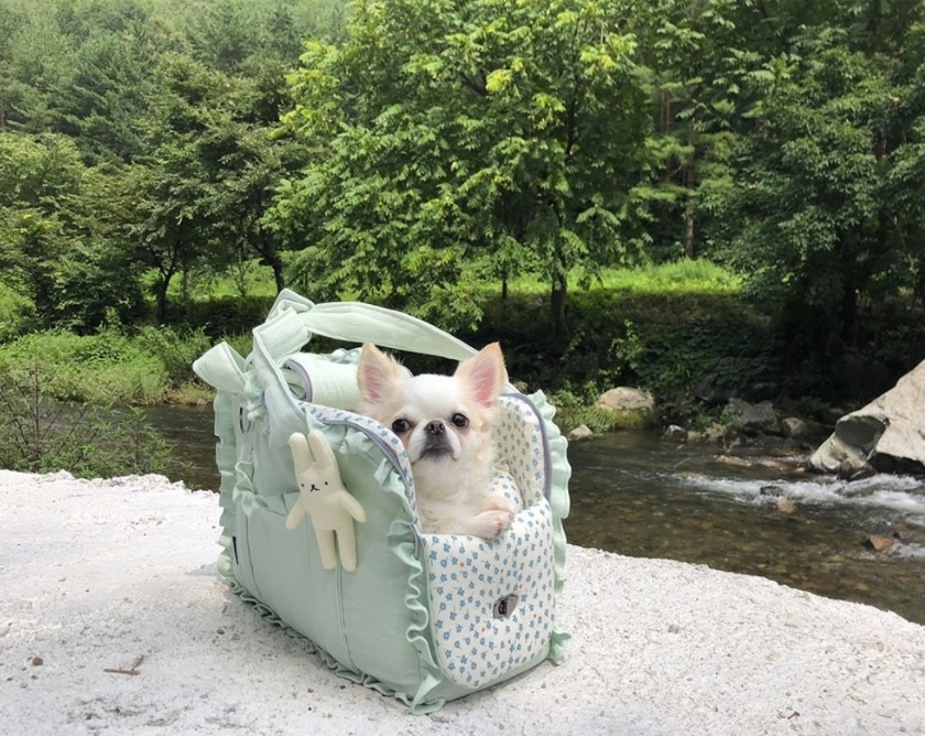 BABIANA★aji bag cube 小花柄 フリル キャリーバッグ Sサイズ BABIANA☆aji bag cube 小花柄 フリル キャリーバッグ +Sサイズ