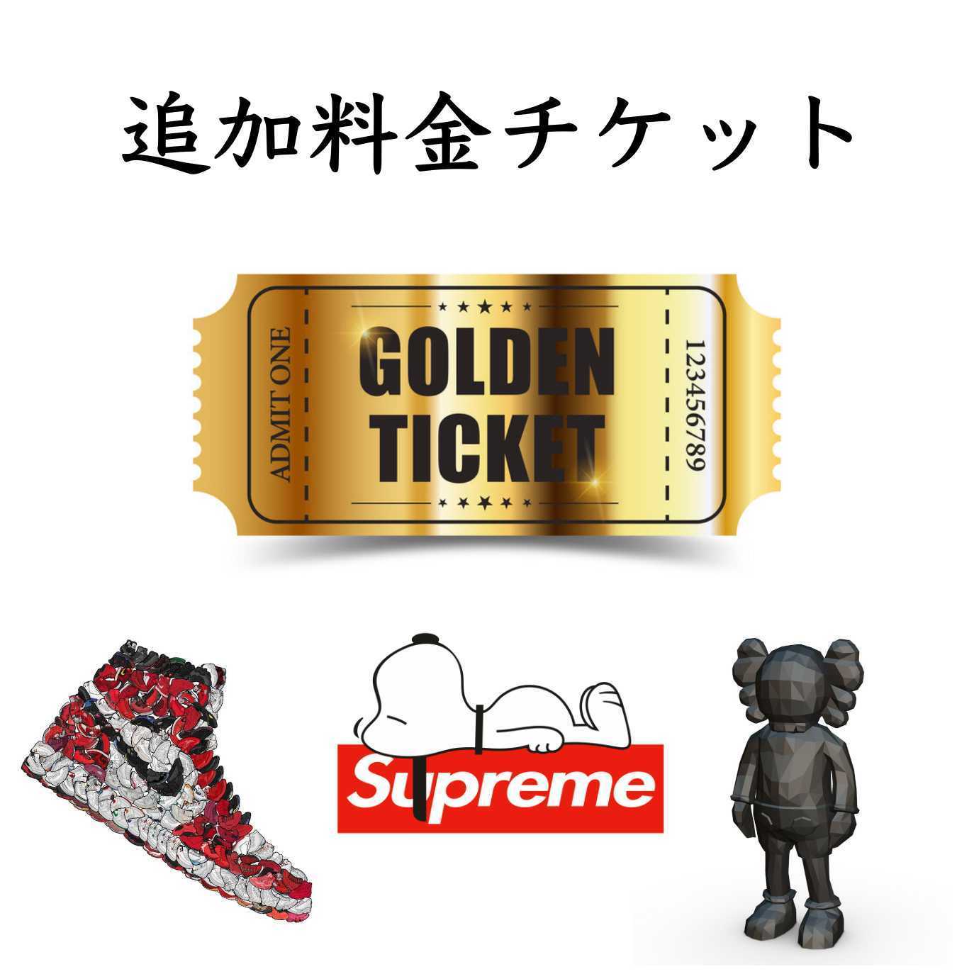 追加料金チケット
