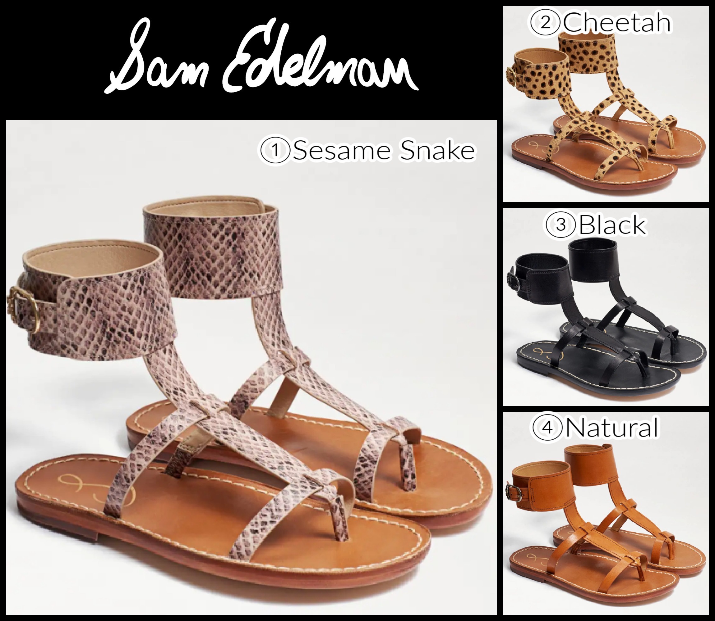 NY発!! セレブ愛用 ☆Sam Edelman☆ MOLLIE GLADIATO