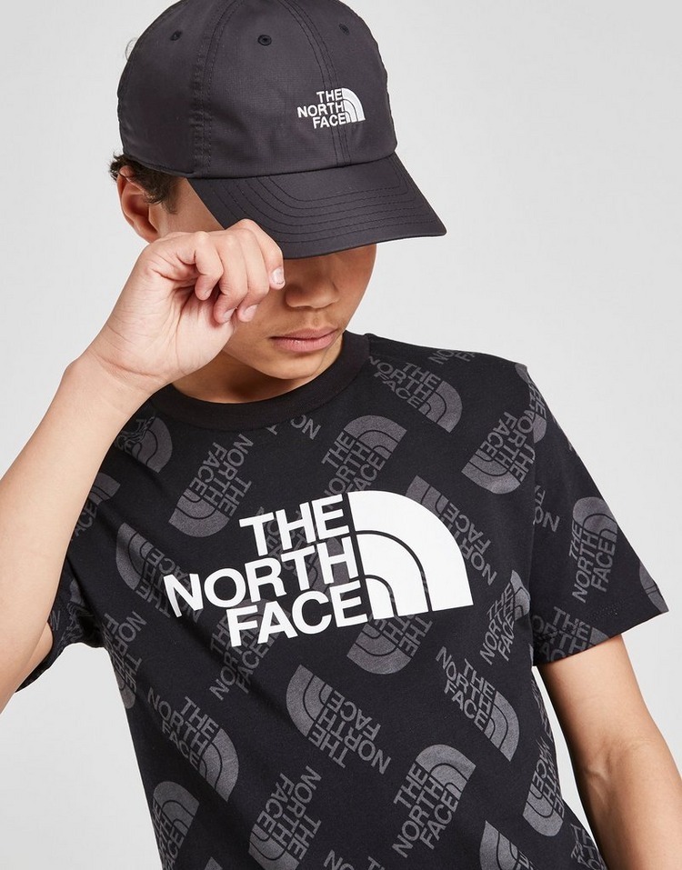 〔The North Face〕海外限定 Print T-Shirt  半袖Ｔシャツ
