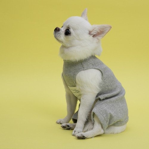 Louisdog ルイスドッグ オーガニック ロンパース【グレー】