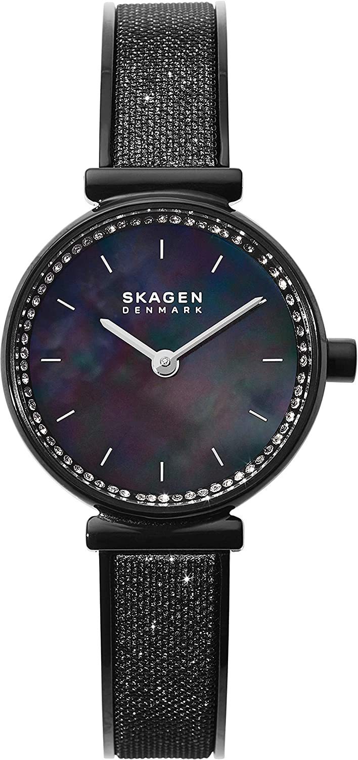 SKAGEN 腕時計 25mm ブラック ステンレス