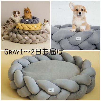 Hunting Pony x ペット用品(ライフスタイル) - 海外通販のBUYMA
