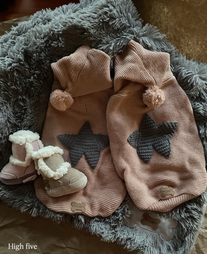【SALE★送関込/国内発送】ふわもこ ★ 犬用 スターフーディ