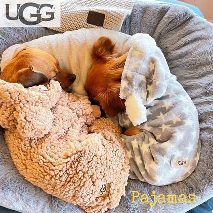 UGG アグ 犬 ペット セーター ニット 新品 レア-