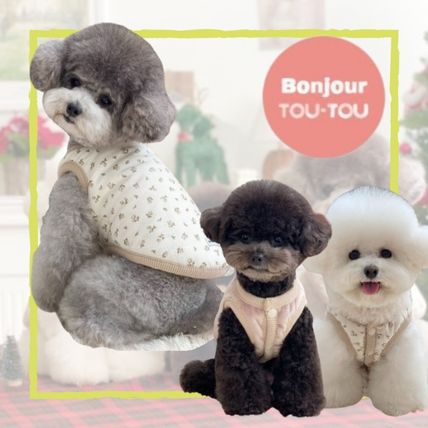 Bonjour TOU-TOU ★ 名前入り コーデュロイ ハーネス 3color Bonjour TOU-TOU ☆ 名前入り ハーネス リード セット (Bonjour
