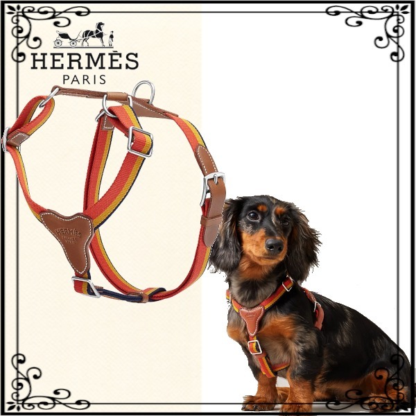 【人気】HERMES エルメス ハーネス《ロカバール》4サイズ展開 首輪・ハーネス・リード 【人気】HERMES エルメス ハーネス《ロカバール》4サイズ展開 首輪・ハーネス・リード