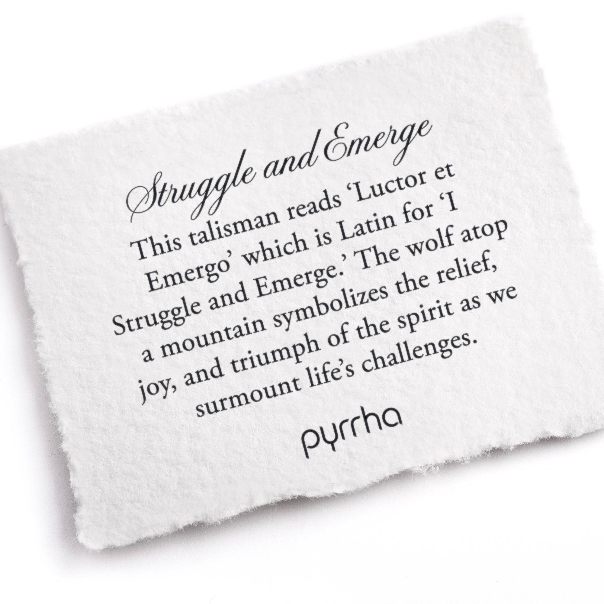 海外セレブ着用【pyrrha】Struggle and Emerge ネックレス