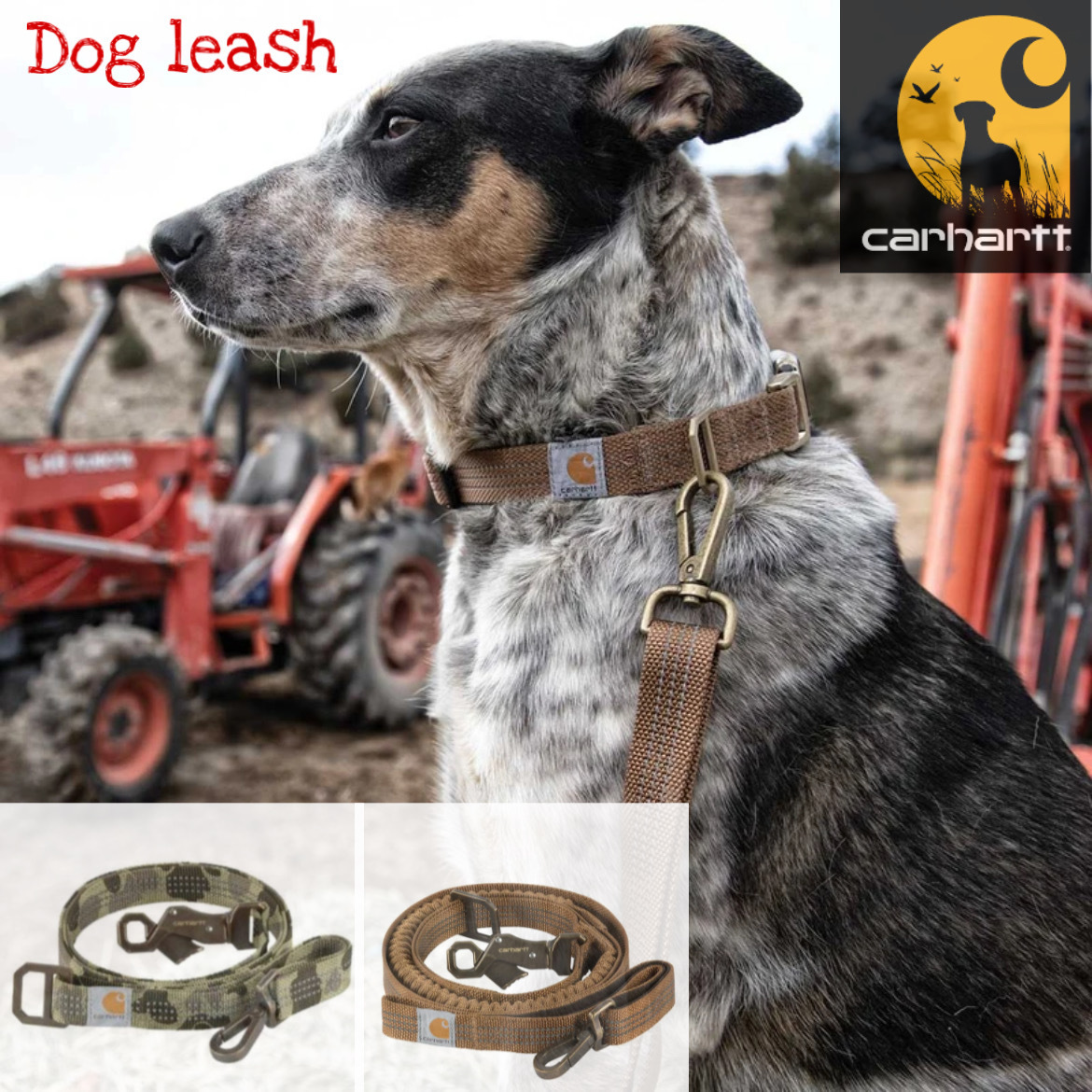 Carhartt ☆ ずっと一緒に…丈夫で長く使える定番リードを愛犬に