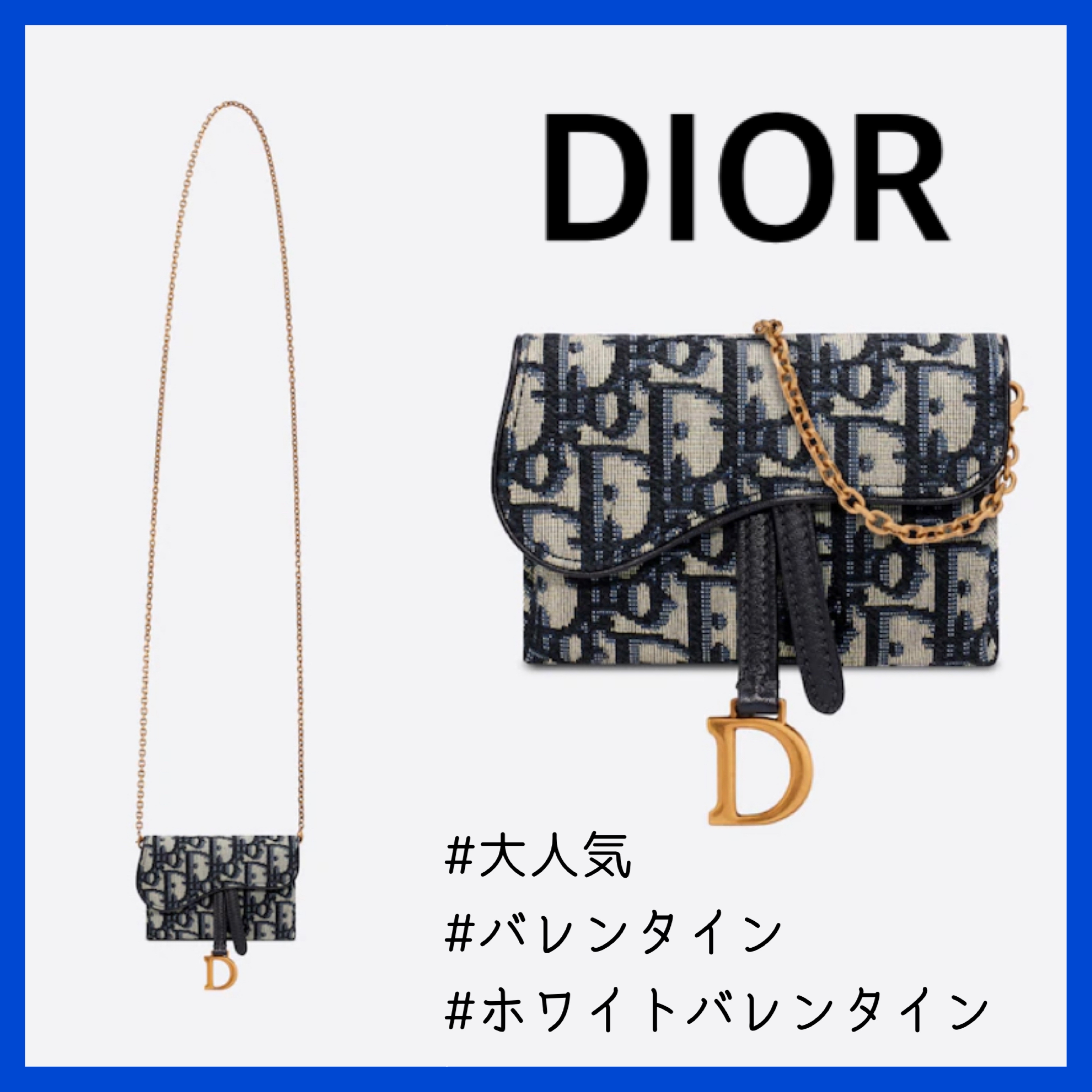 春夏新作モデル ほんの少しのアクセント!【Dior】SADDLE NANOポーチ 大人気 ショルダーバッグ・ポシェット 春夏新作モデル ほんの少しのアクセント!【Dior】SADDLE NANOポーチ 大人気 ショルダーバッグ・ポシェット