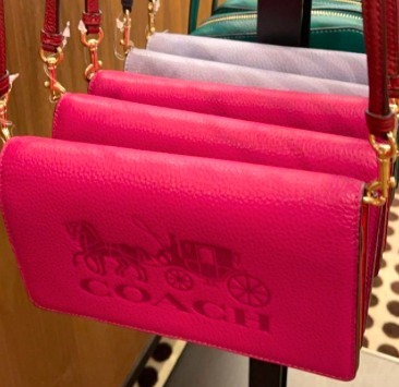 セールCoach Annaホース＆キャリッジクロスボディクラッチ財布