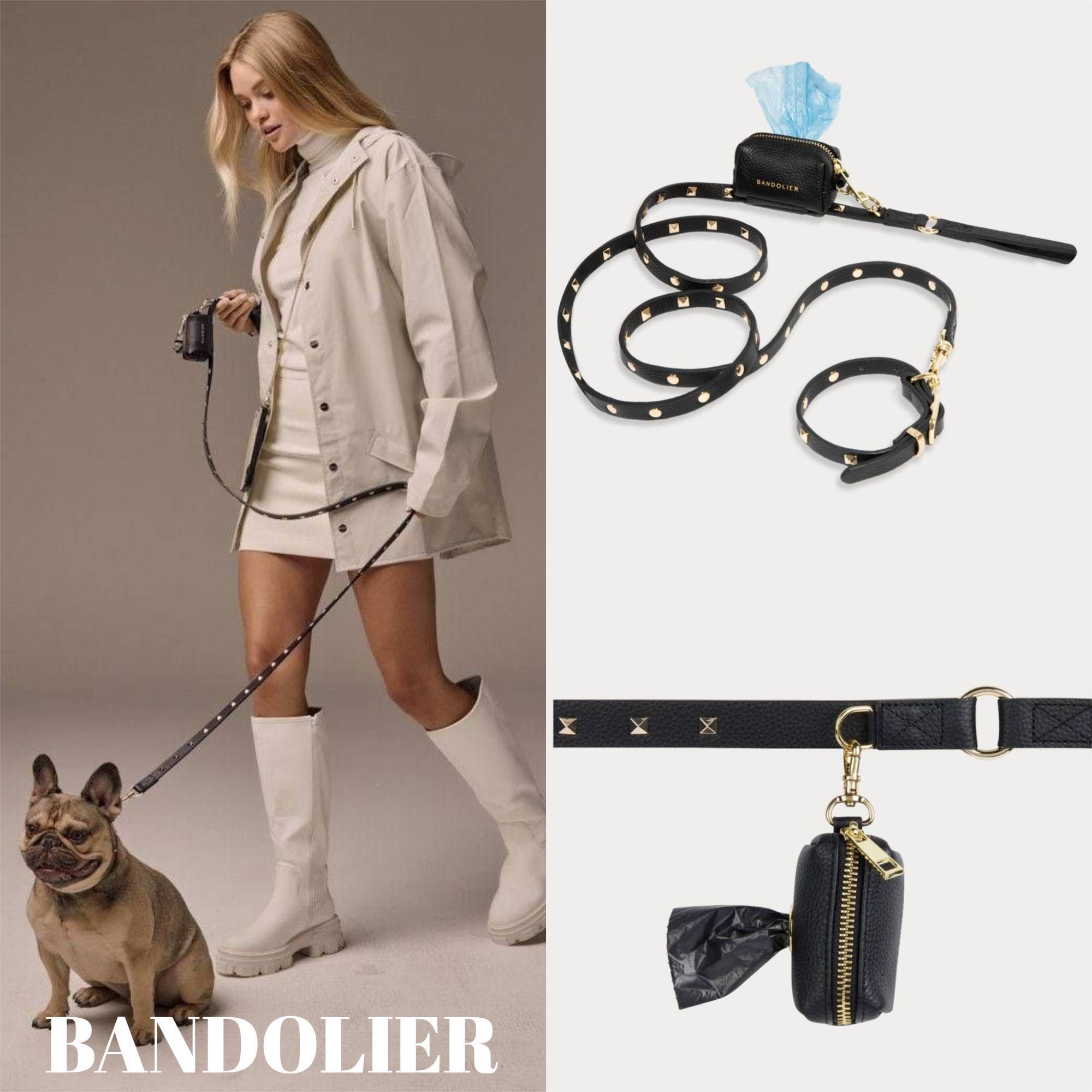 BANDOLIER おしゃれにお散歩♪わんちゃん リード＆首輪 セット