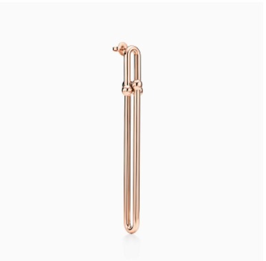Tiffany Co ピアス 【直営店】Tiffany Co ダブルロング リンク ピアス イヤリング(5)