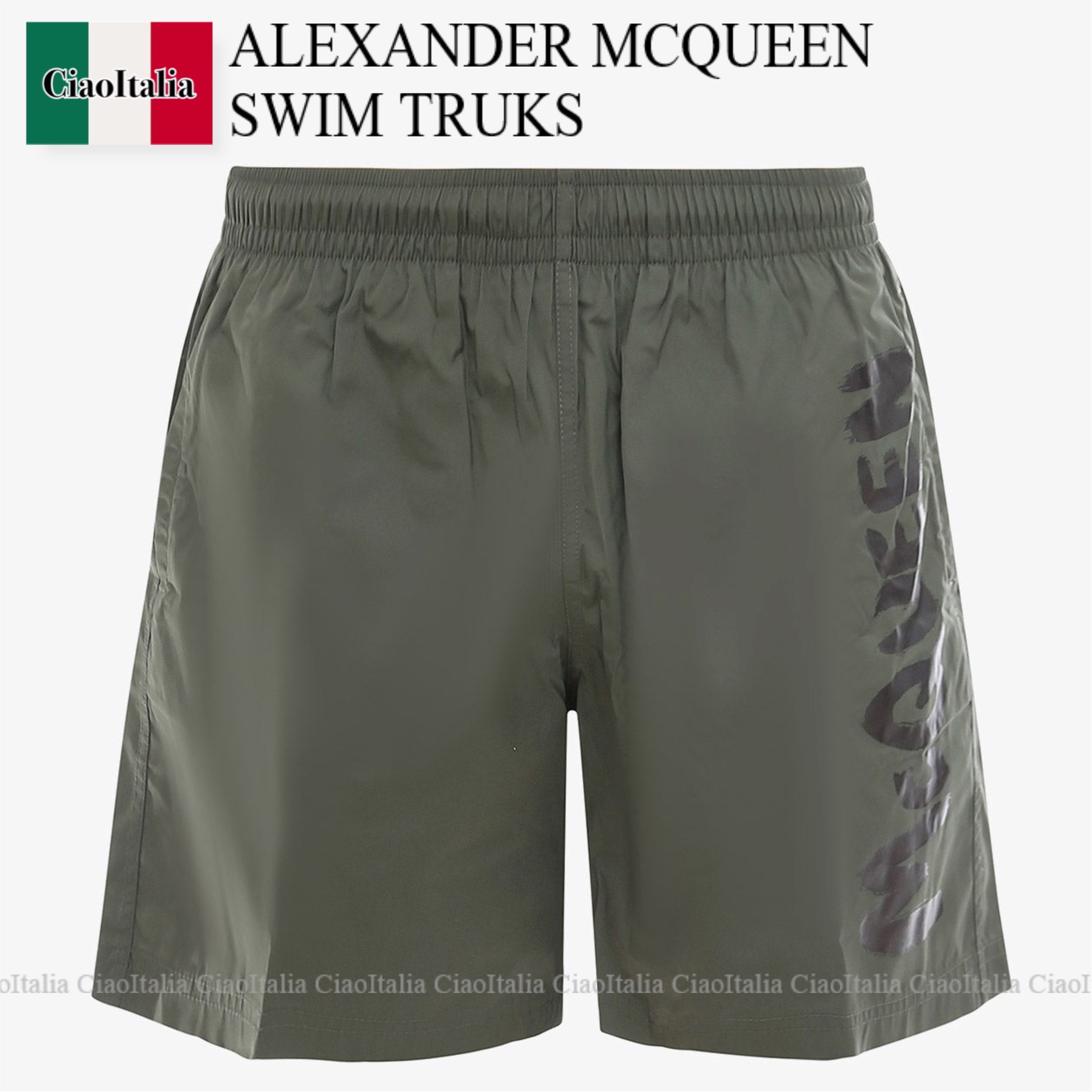 新品本物 ALEXANDER MCQUEEN TRUKS SWIM 水着 新品本物 ALEXANDER MCQUEEN TRUKS SWIM 水着