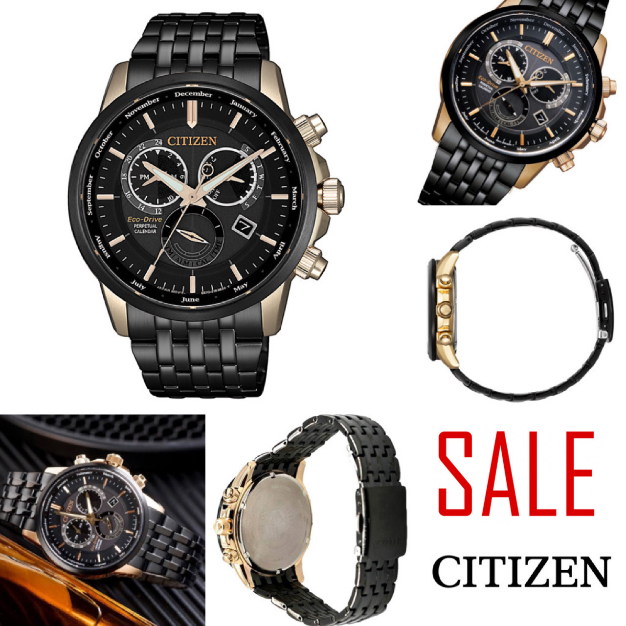 【日本未発売モデル】CITIZEN シチズン BL8156-80E エコドライブ