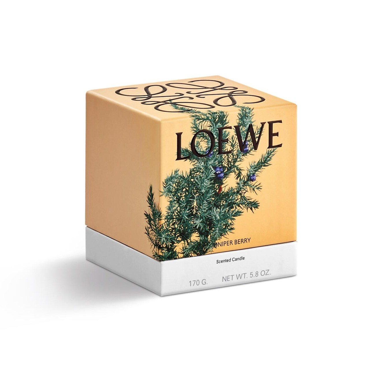 大人気】絶対可愛い LOEWE ロエベ オレガノ キャンドル アロマ (LOEWE ...