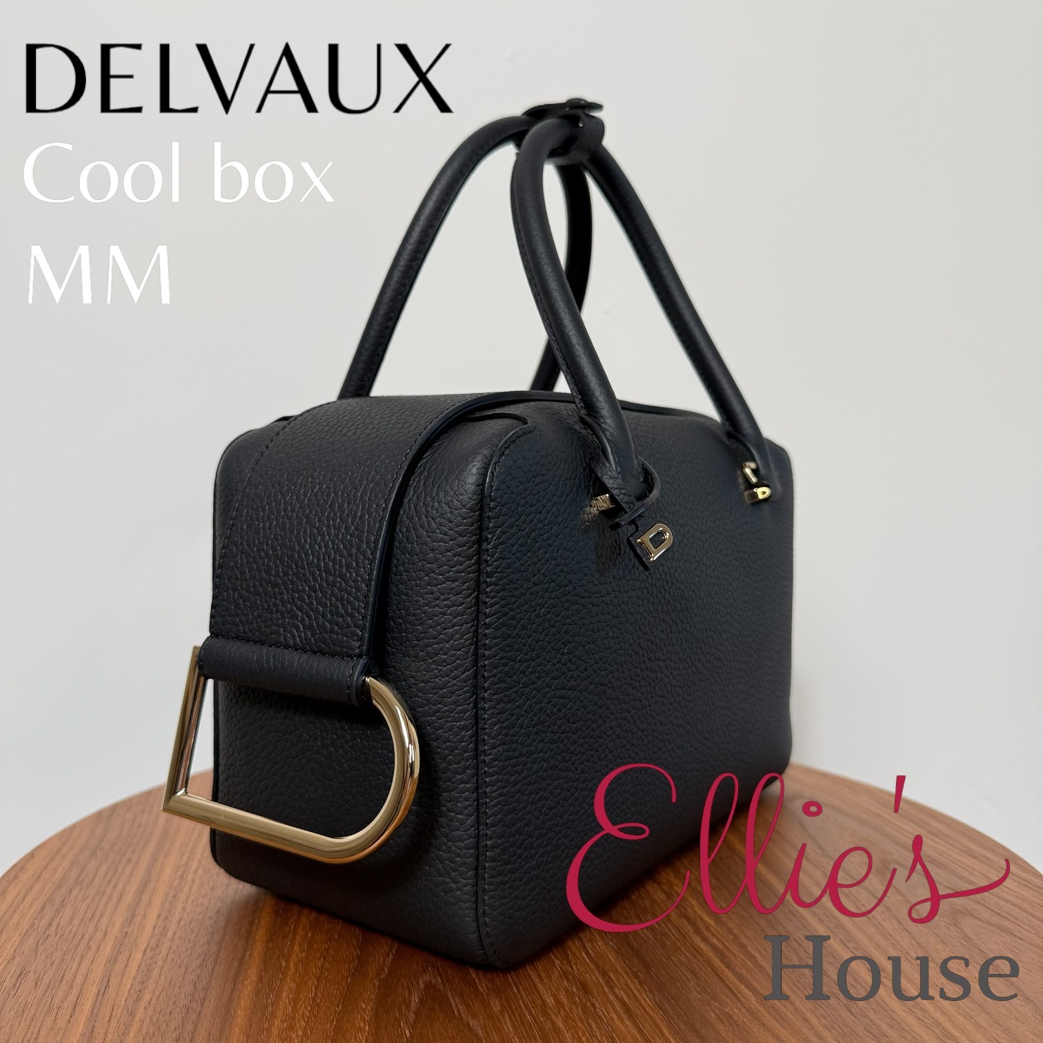 DELVAUX Box Calfskin Mini Brillant Satchel Black 1222056
