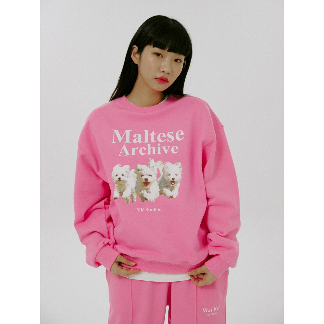 スウェット・トレーナー Wai Kei Maltese Archive Sweatshirt BBH3523 Wai Kei Maltese Archive Sweatshirt BBH3523 (Wai Kei