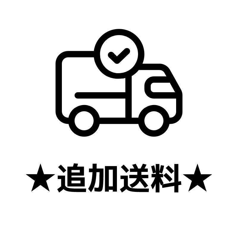 ☆追加送料ページ☆