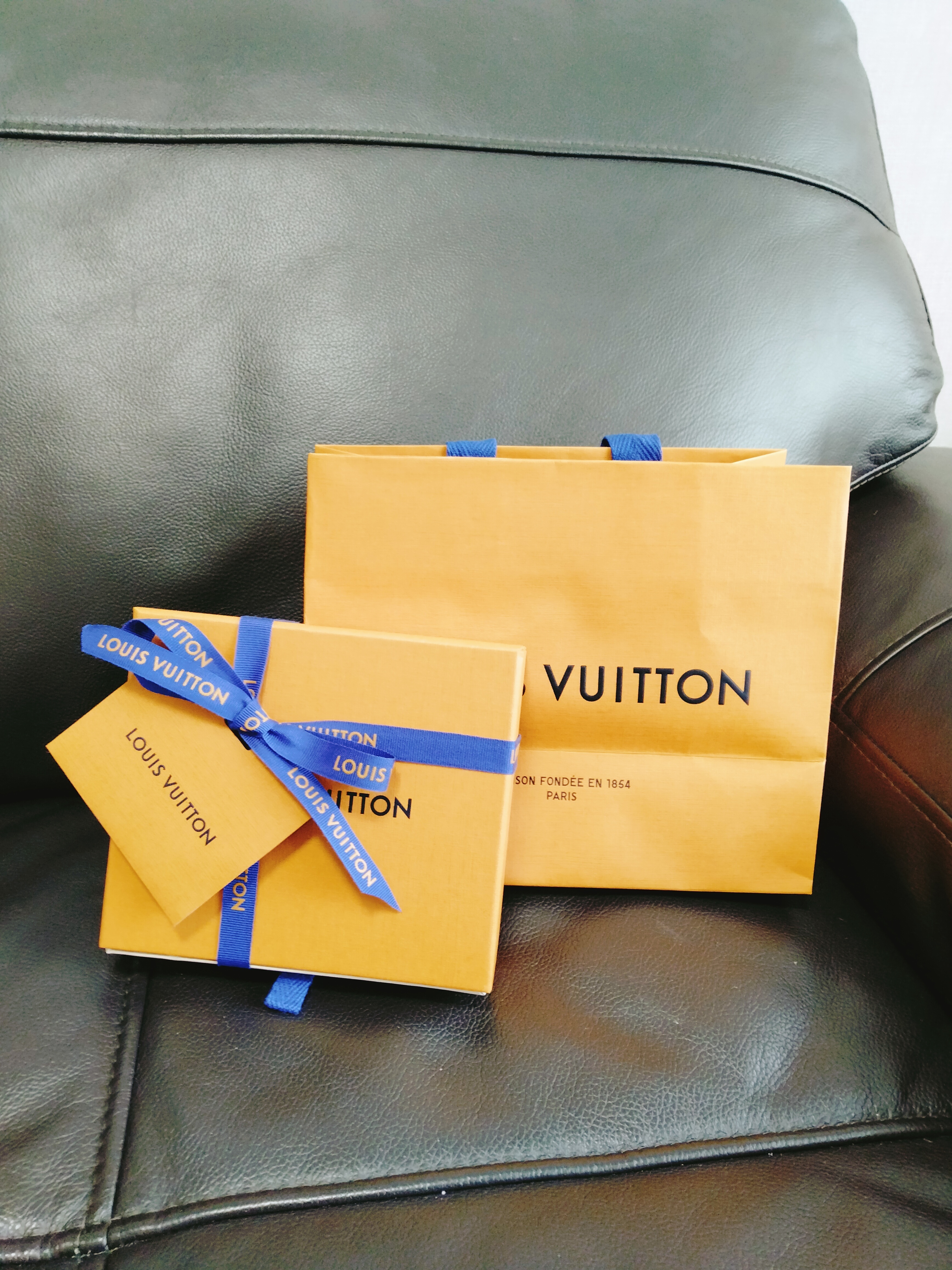Louis Vuitton ピアス すぐ届く国内発送★Louis Vuitton★ブックル ドレイユルイーズ♪(6)