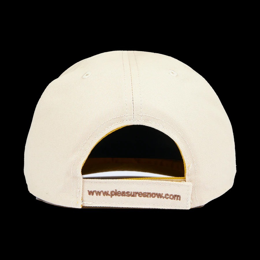 PLEASURES キャップ 入手困難アイテム!!【PLEASURES】CARNIVORE REVERSIBLE HAT(5)