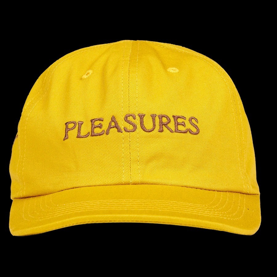 PLEASURES キャップ 入手困難アイテム!!【PLEASURES】CARNIVORE REVERSIBLE HAT(6)