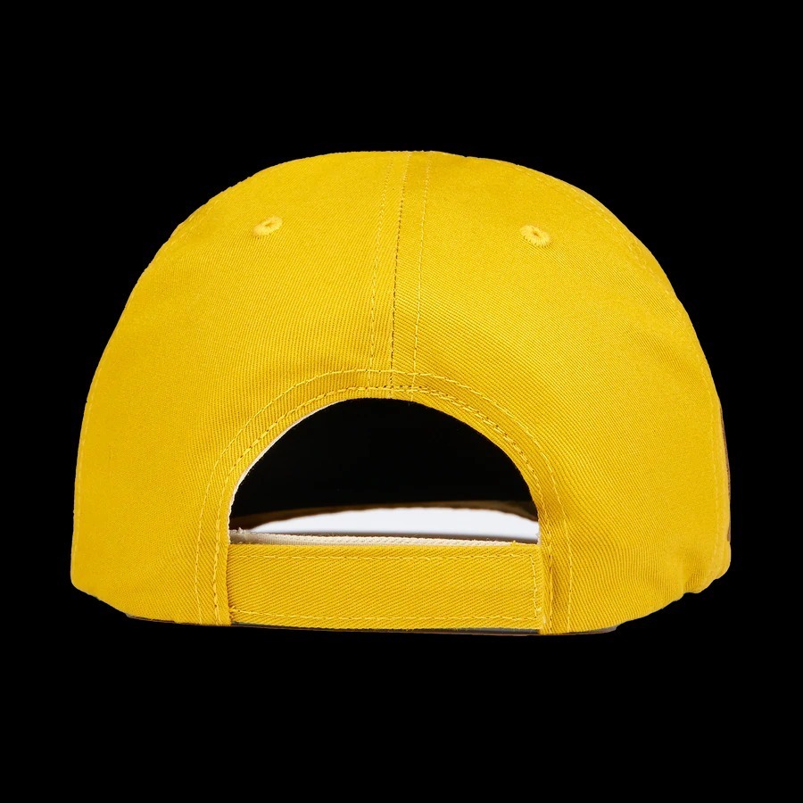PLEASURES キャップ 入手困難アイテム!!【PLEASURES】CARNIVORE REVERSIBLE HAT(8)