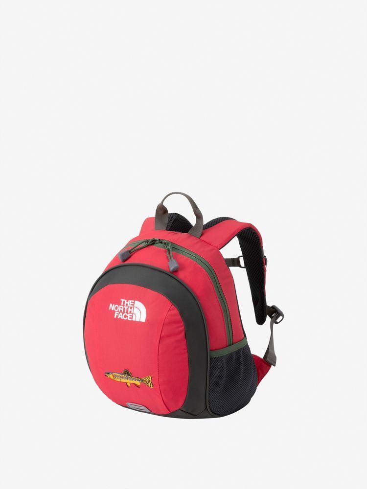 THE NORTH FACE】ホームスライス