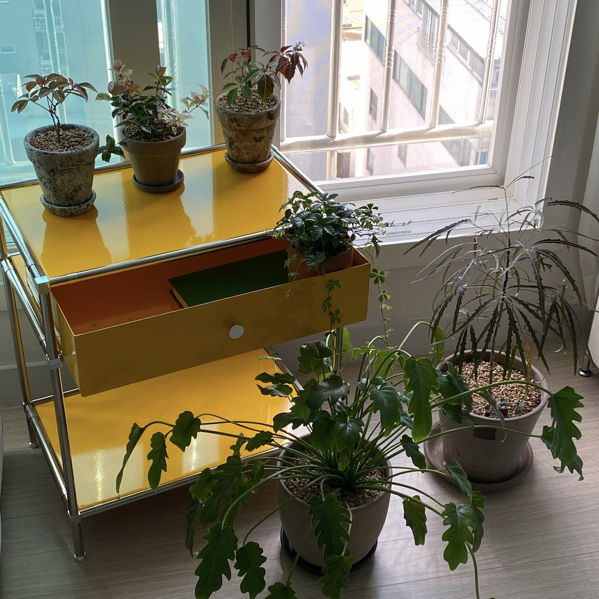 【the frigg】DIYモジュール家具 引き出し付きテーブル◆6color the frigg】DIYモジュール家具 引き出し付きテーブル◇6color