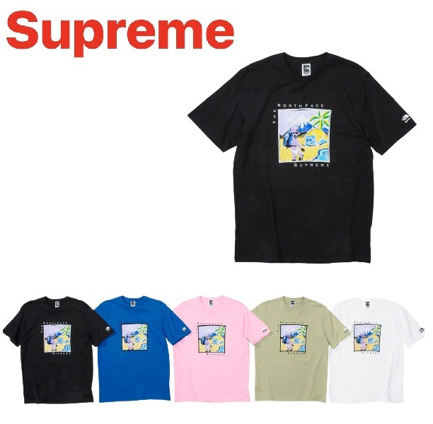 関税込 21AW Week9 Supreme The North Face Sketch S/S Top